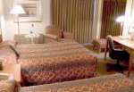 Отель Holiday Inn Downtown (Холидай Инн Довнтовн), фото 3