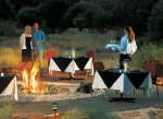 Отель Kings Canyon Resort (Кингс Санйон Ресорт), фото 4